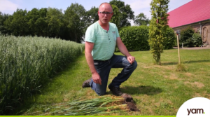 Bart vertelt meer over het groeien van de haver