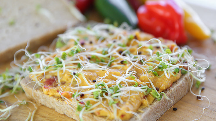 Pikante hummus met broccolikiemen